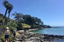 Full-Day Grand Auckland Volcanoes Tour