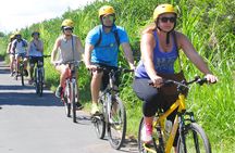 Bali Cycling for 2 Hours with Pick Up Service and Lunch