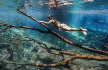 Materuni Waterfalls, Coffee Tour and Hot Springs
