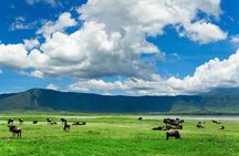 2-Day Safari to Tarangire National Park and Ngorongoro Crater