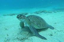 Discover SCUBA Diving with Pissouri Bay Divers