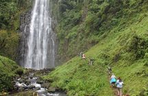 3 Days Tour to Tarangire, Ngorongoro and Materuni