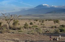 Maasai village visit & Kikuletwa Hot-springs 