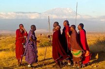 Maasai village visit and Chemka hot-springs with hot lunch.