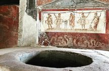 2 Hours Private Tour of Pompeii for Journey Through Time