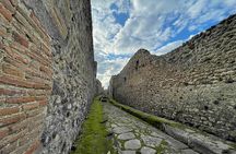 2 Hours Private Tour of Pompeii for Journey Through Time