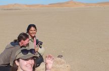 LIVING DESERT TOUR (Little 5 tour)