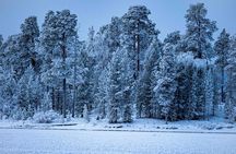 Electric Snow Scooters Tour
