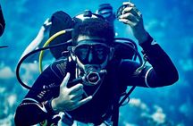 Scuba Diving at Jumeirah Dubai with Private Transfer