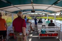  St. Johns River Cruise - Blue Spring State Park 