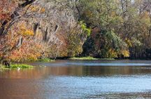 St. Johns River Cruise - Blue Spring State Park 
