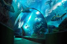 Sea Life Bangkok Ocean World Tickets