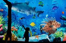 Sea Life Bangkok Ocean World Tickets