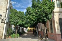 Contrasts of Seville