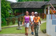 Cave & Monkey Zipline Experience at Harrison's Cave by Chukka