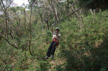 Mombacho Adventure (Hiking & Zipline)