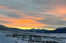 Private/VIP Wildlife Winter Safari of Yellowstone