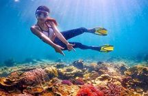 Full Day Tour in Ras Mohamed and White Island with Lunch