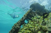 Cancun Snorkeling Adventure: Turtles, Reefs & Underwater Wonders
