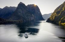 Premium Milford Sound Cruise Including Lunch