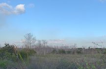 Dark Sky's in the Florida Everglades