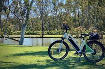 Discover McLaren Vale on eBikes - Full Day