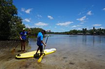 Stand-Up Paddle Board Tour in Byron Bay