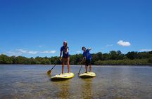 Stand-Up Paddle Board Tour in Byron Bay