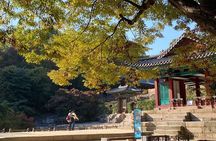 Seoul City Full Day Tour - Changdeok Palace (wearing Hanbok)
