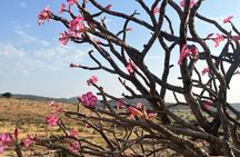 Your Salalah Tour-Your German speaking tour provider/mountain tour