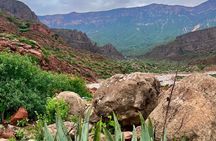 Your Salalah Tour-Diverse German-language Tour Offers Oman