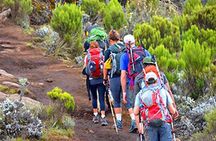 Kilimanjaro day trip starting from Arusha