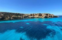 Small-Group Boat Tour in Favignana and Levanzo