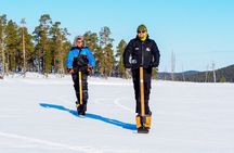 Electric Snow Scooters Tour