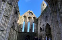 Rock of Cashel Cahir Castle Private Day Tour from Dublin w/picnic