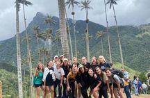 1 Day Private Tour in Cocora Valley Hike 