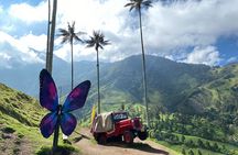 1 Day Private Tour in Cocora Valley Hike 