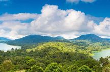 North Bali Private Tour Ulun Danu and Jatiluwih Rice Terraces