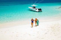 Private 3 hour Swimming Pigs and Snorkeling 