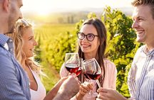 Full Day Private Cyprus Wine Tour from Alaminos