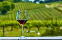 Full-Day Private Pompeii and Vesuvius Wine Tour from Naples