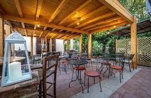 Cesani Wine Experience