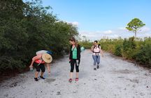 Central Florida Guided Nature Walk and Private Yoga Class
