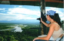 Day tour in the Puyopungo Amazon Rainforest