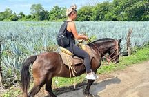 Horseback Riding & Swim: Tequila Tasting, BBQ & Margaritas