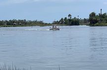  Crystal River Boat Tour 