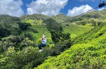 Shaka Zipline: 5 Line Zipline Tour (60 - 260 lbs)