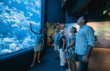 Night at the Aquarium Tour 