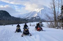 Snowmobile Classic Tour in Kenai Fjords National Park