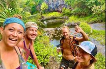 Maui Road to Hana VIP Private Tour in Convertible Bronco